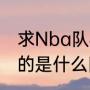 求Nba队标个队徽（NBA队标是熊猫的是什么队）