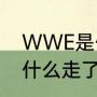 WWE是什么意思（wwe终极战士为什么走了）