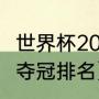 世界杯2010总决赛冠军（2010世界杯夺冠排名）