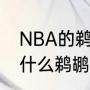 NBA的鹈鹕队本来的名字是什么（为什么鹈鹕叫水鸟队）