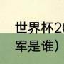 世界杯2022冠军（2022年世界杯冠军是谁）