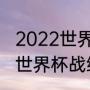 2022世界杯西班牙强吗（西班牙本届世界杯战绩）