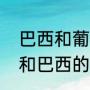 巴西和葡萄牙是一个国家吗（葡萄牙和巴西的关系好吗）