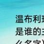 温布利球场是谁的主场，温布利球场是谁的主场知识（热刺队的主场叫什么名字）