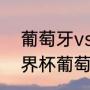 葡萄牙vs荷兰2006谁赢了（06年世界杯葡萄牙输给了哪个队）