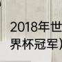 2018年世界杯的冠军是（2019足球世界杯冠军）