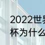 2022世界杯有意大利吗（2022世界杯为什么没有意大利）