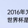 2016年为什么没有世界杯（2016年世界杯是什么时候）