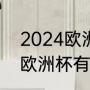 2024欧洲杯预选赛法国赛程（2023欧洲杯有多少场）