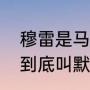 穆雷是马刺送到掘金的吗（掘金控卫到底叫默里还是穆雷）