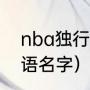 nba独行侠队原来叫什么（王治郅英语名字）