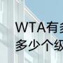 WTA有多少个级别的比赛（WTA有多少个级别的比赛）