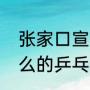 张家口宣化开发区有乒乓球馆吗（什么的乒乓球馆）