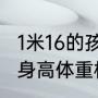 1米16的孩子标准体重多少（两岁宝宝身高体重标准是多少）