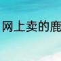 网上卖的鹿肉是什么肉（鹿肉的做法）