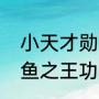 小天才勋章墙活动勋章怎么获得（咸鱼之王功勋墙是什么）