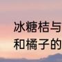 冰糖桔与冰糖橙有什么区别（冰糖柑和橘子的区别）