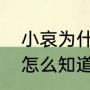 小哀为什么害怕冲矢昴（羽田秀吉是怎么知道冲矢昴是赤井秀一）