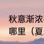 秋意渐浓夜微凉,时而又觉夏未央出自哪里（夏未央是什么）