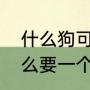 什么狗可以自己照顾自己（男生为什么要一个女生帮忙照顾自己的狗狗）