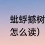 蚍蜉撼树是什么意思（蚍蛴这两个字怎么读）