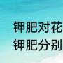 钾肥对花卉的作用（氮肥、磷肥，和钾肥分别有什么作用）