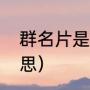 群名片是什么意思（群名片是什么意思）