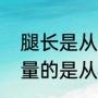 腿长是从哪里往下量（腿长都是怎么量的是从肚挤眼开始量吗）