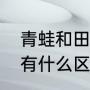 青蛙和田鸡有什么区别（田鸡和牛蛙有什么区别啊）