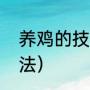 养鸡的技术和方法（养鸡的技术和方法）