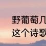 野葡萄几月份可以采摘（《野葡萄》这个诗歌的意思是什么）