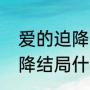 爱的迫降电视连续剧大结局（爱的迫降结局什么意思）