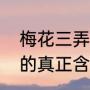 梅花三弄这首歌表达什么（梅花三弄的真正含义）