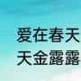 爱在春天大结局露露生孩子（爱在春天金露露陆达生相爱结局）