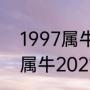 1997属牛和2021相差多少年（97年属牛2021年多大了）