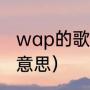 wap的歌词什么意思（wap歌词什么意思）