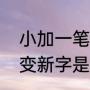 小加一笔是什么字一年级（小加一笔变新字是什么字）