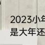 2023小年是哪天（2023年椴树开花是大年还是小年）