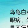 乌龟白眼病怎么治最快（乌龟得了白眼病，怎么能快点治好用了红霉素还是不行）