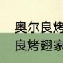 奥尔良烤翅烤箱版要多长时间（奥尔良烤翅家庭做法烤箱）