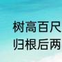 树高百尺下句是什么（树高百尺落叶归根后两句是什么）