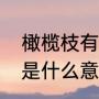 橄榄枝有什么含义（爱情中的橄榄枝是什么意思）