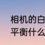 相机的白平衡是什么意思（什么是白平衡什么是黑平衡如何调整）