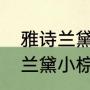 雅诗兰黛小棕瓶是修护精华吗（雅诗兰黛小棕瓶哪个版本的好用）