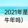 2021年是鼠年还是牛年（2021年是属牛年吗）