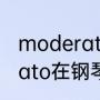 moderato标准速度（tempomoderato在钢琴中的意思）