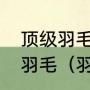 顶级羽毛球赛事中用的羽毛求是什么羽毛（羽毛球上的羽毛有什么作用）