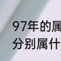 97年的属相是什么（96年97年98年分别属什么）