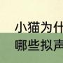 小猫为什么发出类似妈妈的叫声（有哪些拟声词来形容动物的各种叫声）