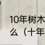 10年树木百年树人中的树人意思是甚么（十年树木百年树人树的意思是）